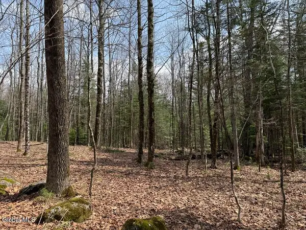 L34.3 Youngs Road #3, Schroon, NY 12870