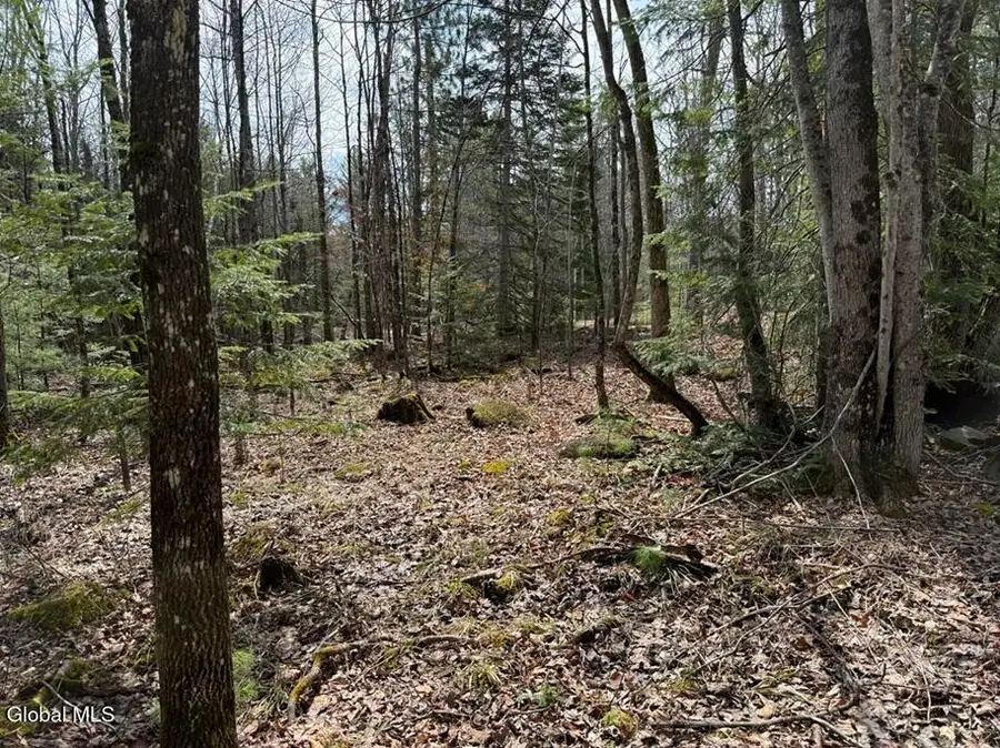 L34.3 Youngs Road #3, Olmstedville, NY 12870 - #2