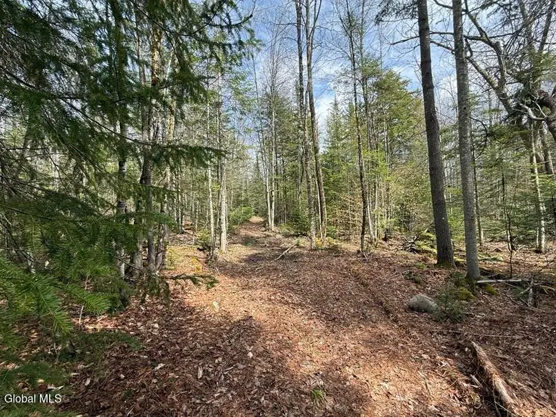 L34.4 Potash Hill Road #4, Olmstedville, NY 12870 - #1