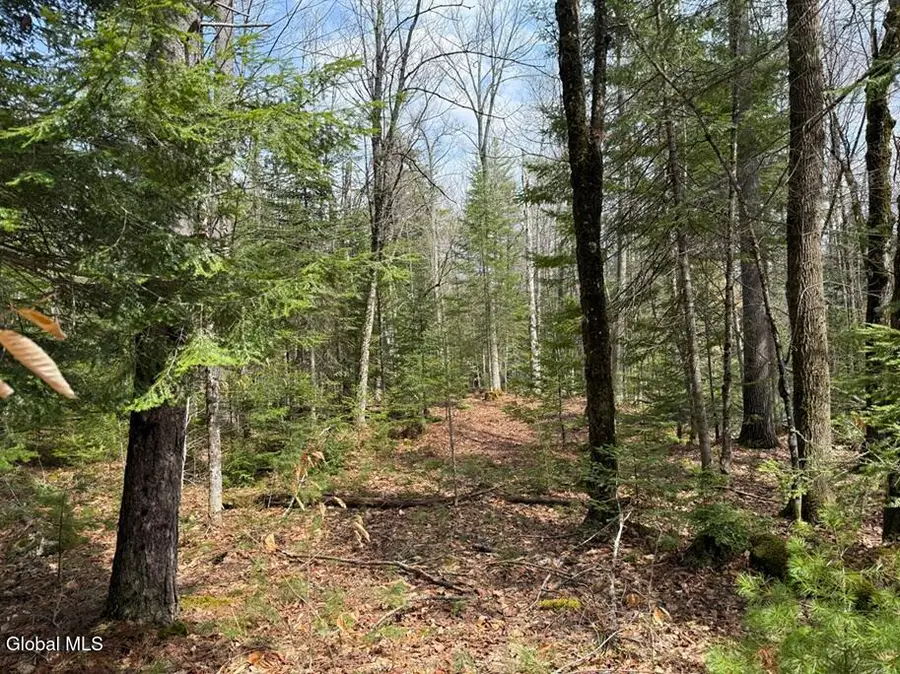 L34.4 Potash Hill Road #4, Olmstedville, NY 12870 - #2