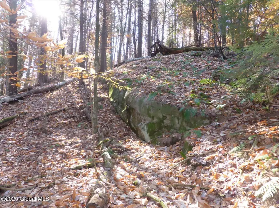 487 Antone Mountain Road, Hadley, NY 12835 - #2