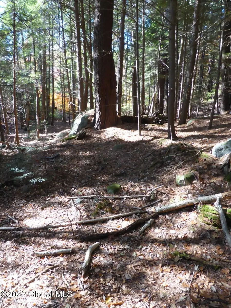 487 Antone Mountain Road, Hadley, NY 12835 - #3