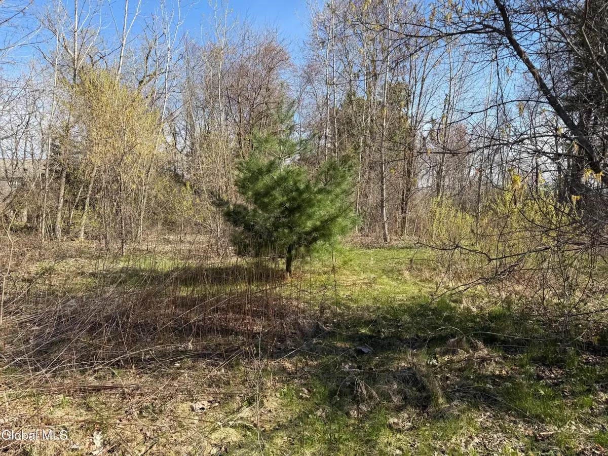 16 Homer Avenue, Queensbury, NY 12804 - #1