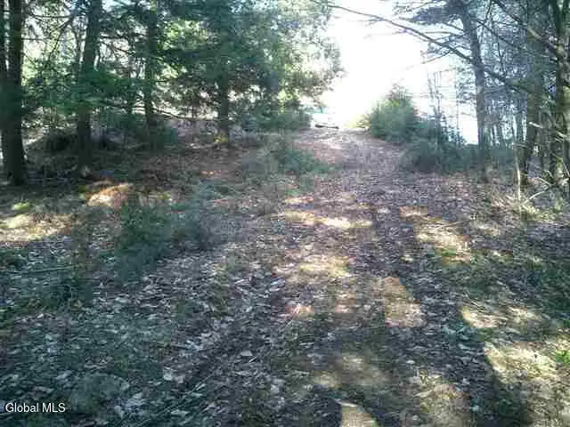 492 Pond View Way, Petersburgh, NY 12138 - #1