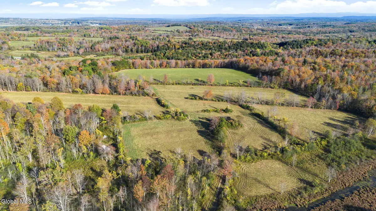 207 Kropp Road, Westerlo, NY 12193 - #1