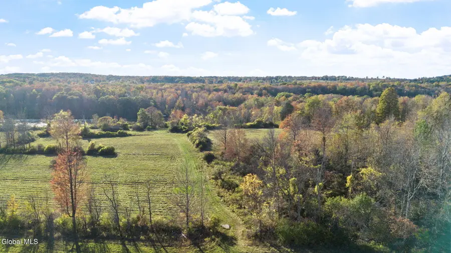 207 Kropp Road, Westerlo, NY 12193 - #3