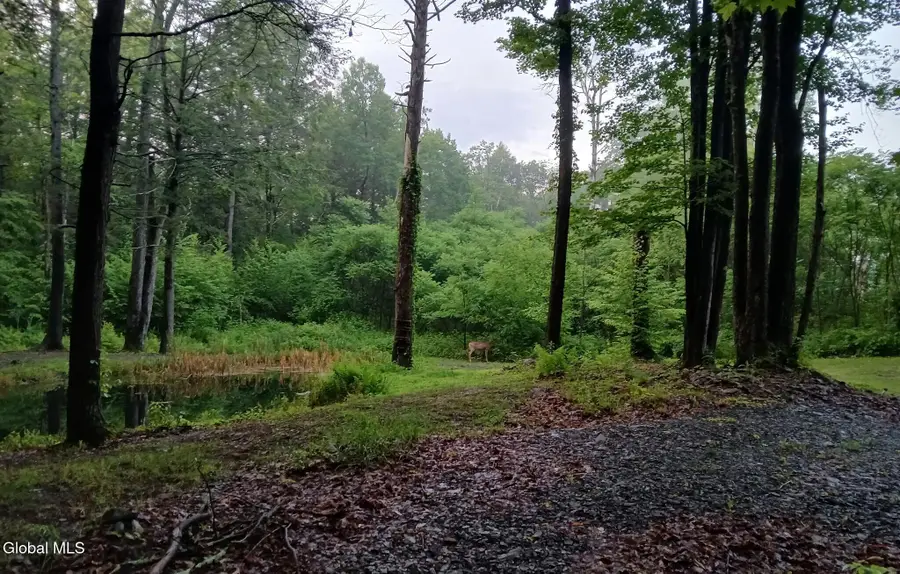 171 Willowbrook Drive, Earlton, NY 12058 - #2