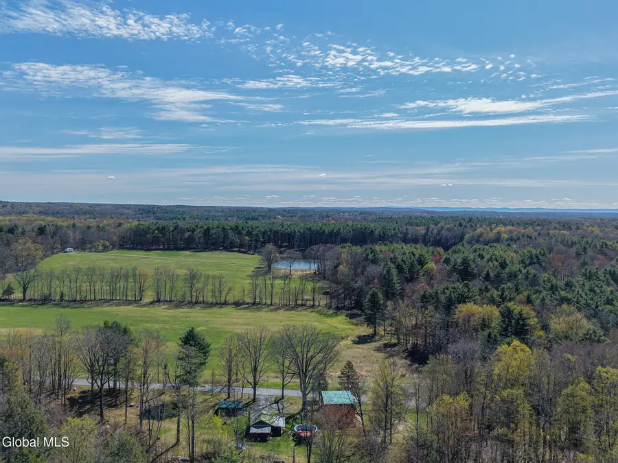 171 Willowbrook Drive, Earlton, NY 12058 - #3