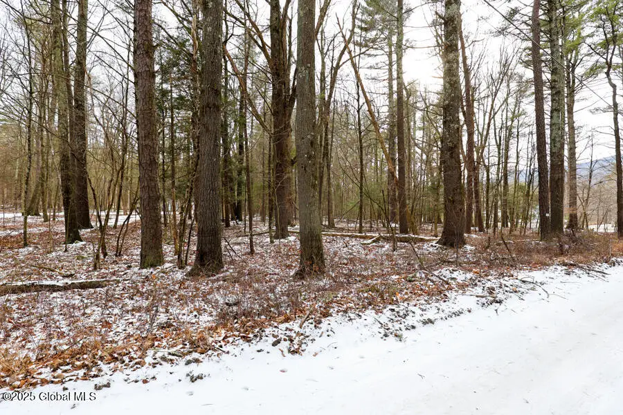 35 Denniston Drive, Saugerties, NY 12477 - #3