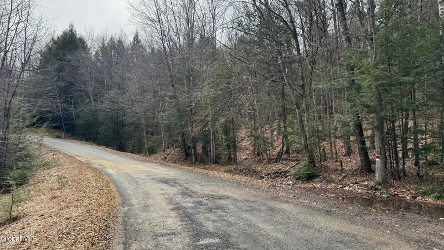 4 Spring Wood, Lake George, NY 12845 - #3