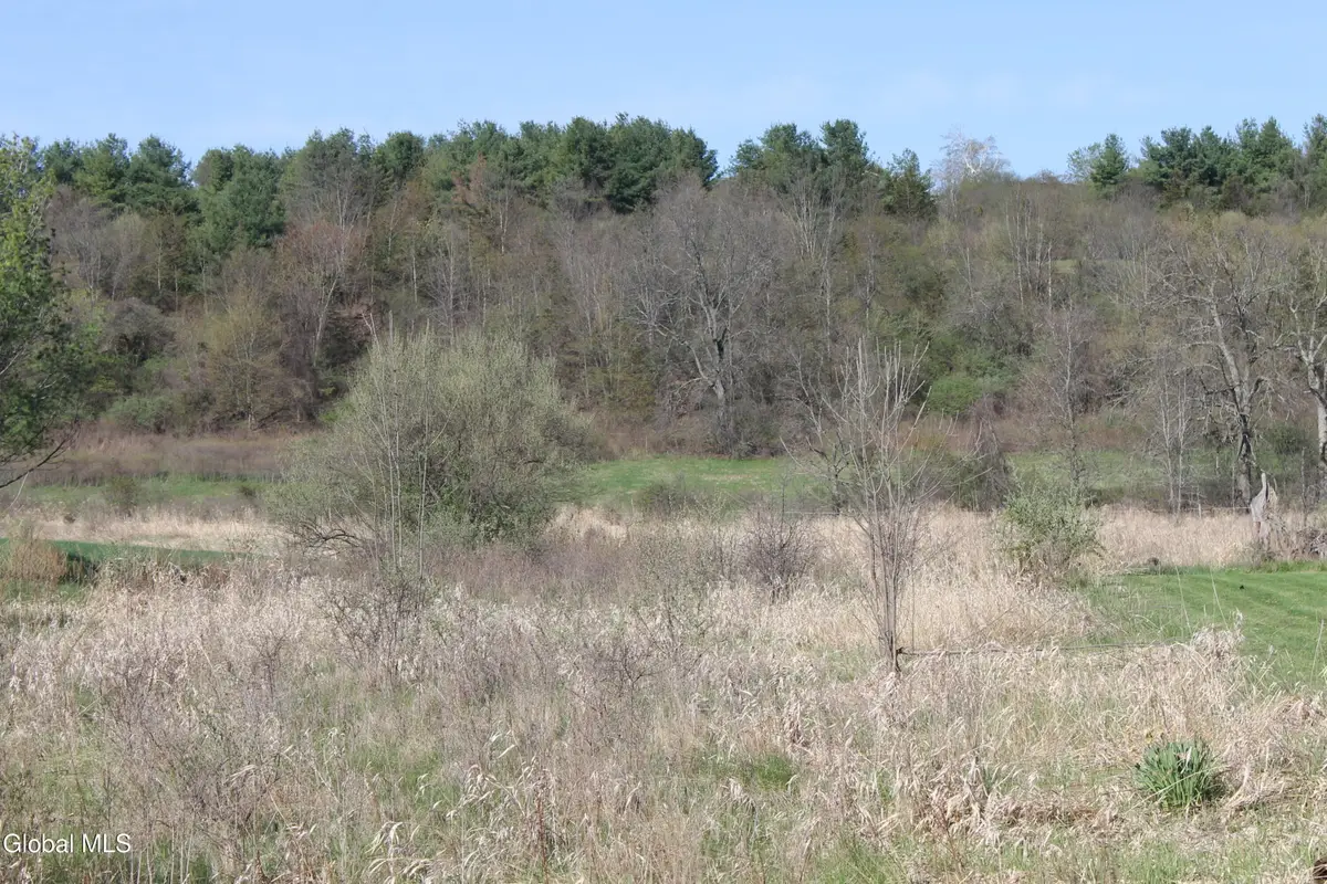 2-D Bullock Road, New Scotland, NY 12159 - #1