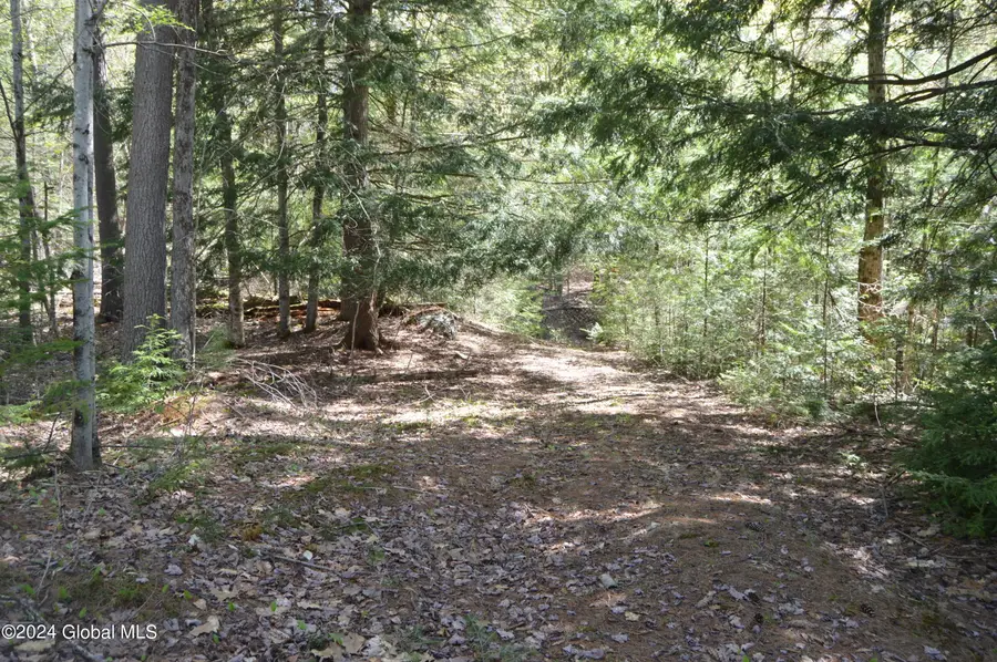 00 Adirondack Heights Rd Lot 8, Chester, NY 12817 - #3