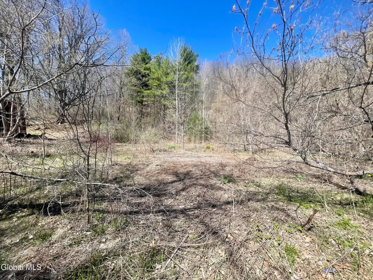 38 Burgoyne Road, Ticonderoga, NY 12883 - #1