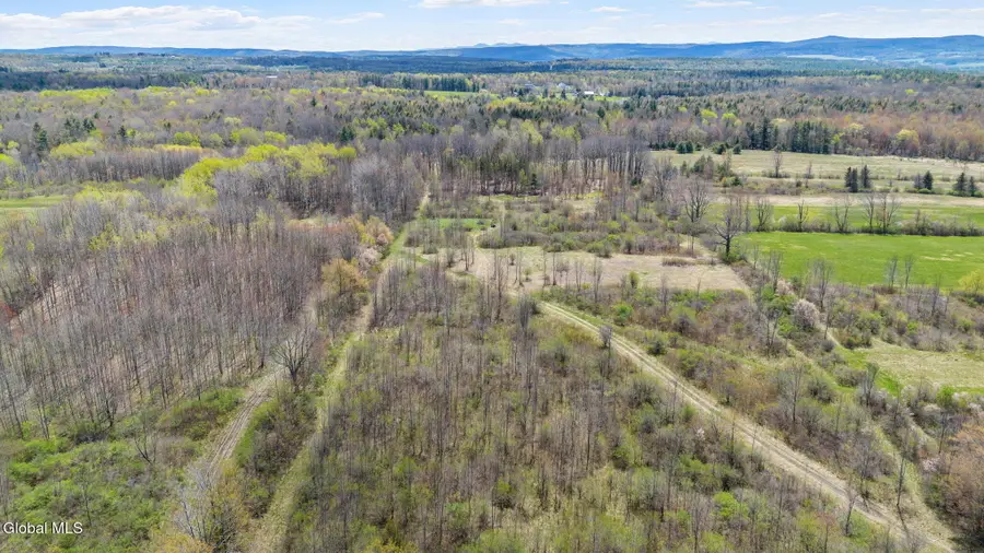 L 8.2 Salsburg Road, Duanesburg, NY 12053 - #3