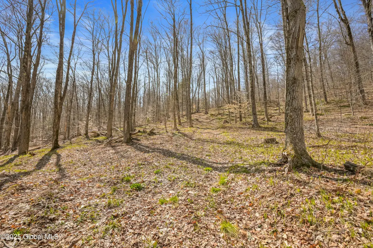 L9.113 Lutheranville Road, Summit, NY 12175 - #1