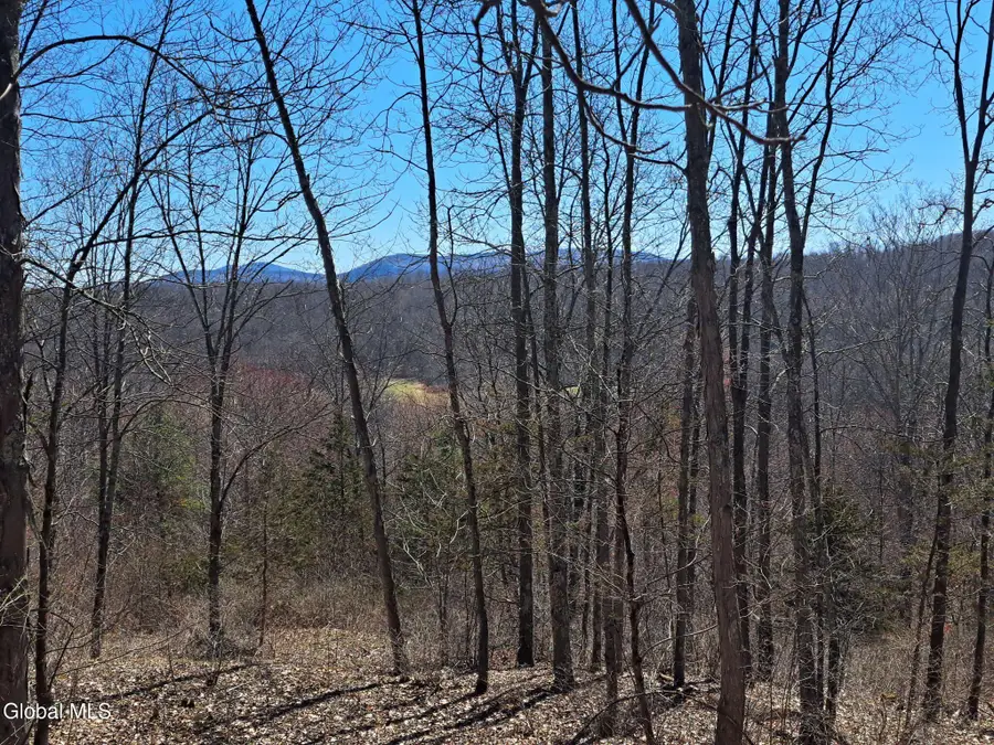 L68 State Route 149/off #L68, Granville, NY 12832 - #3