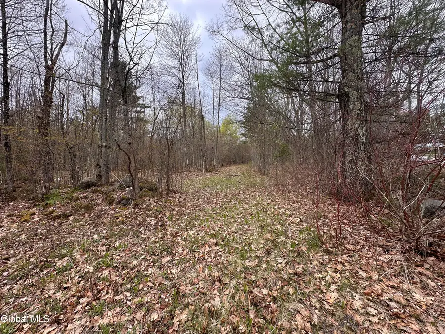 182 Furnace Road, Moriah, NY 12960 - #3