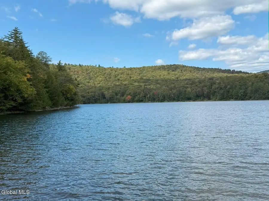 83 Burritt Lane, Olmstedville, NY 12870 - #3