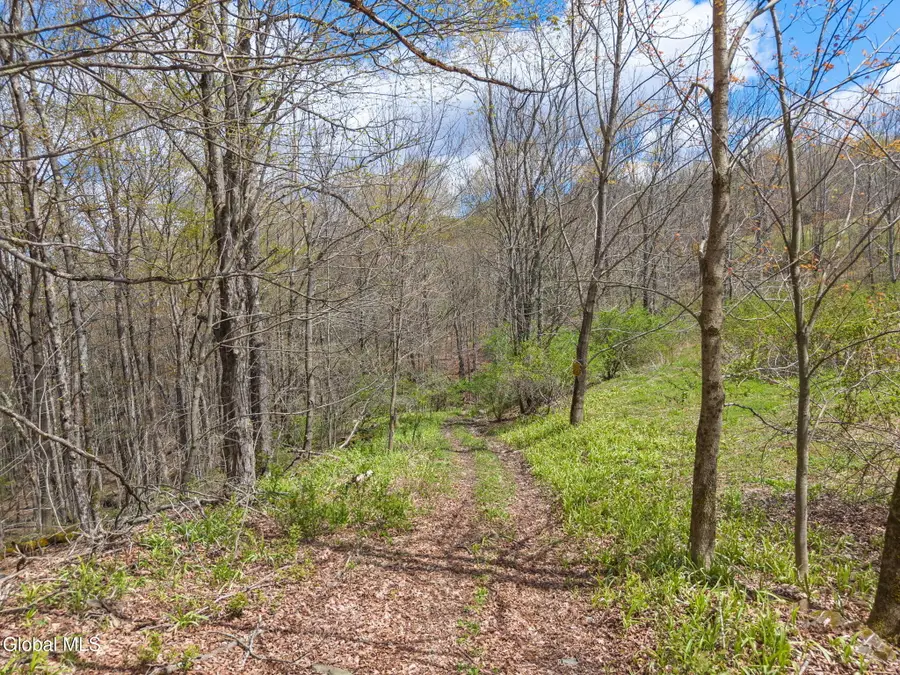 L25 Fuller District Road, Jefferson, NY 12093 - #2