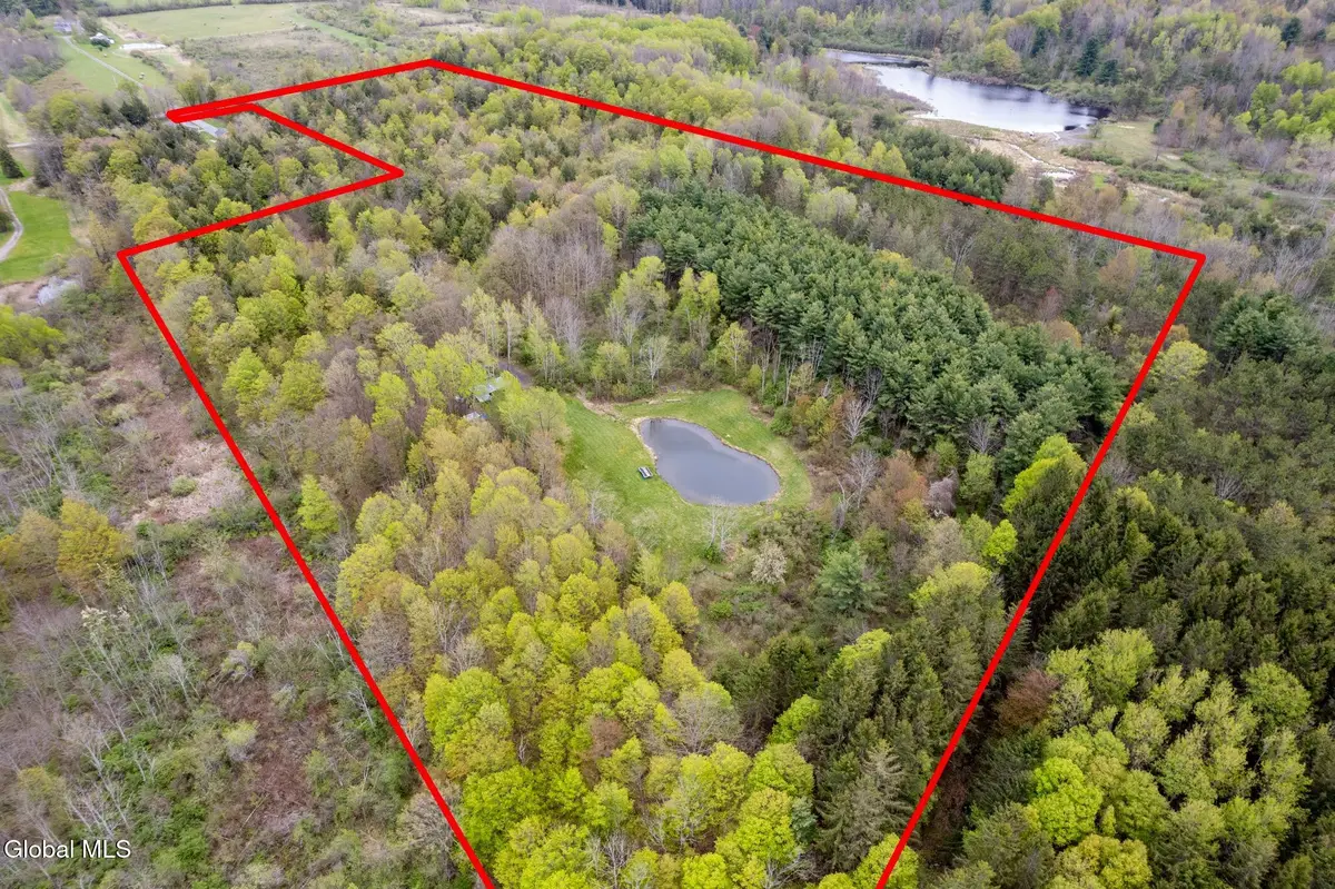 578 N Hillman Road, Delanson, NY 12053 - #1