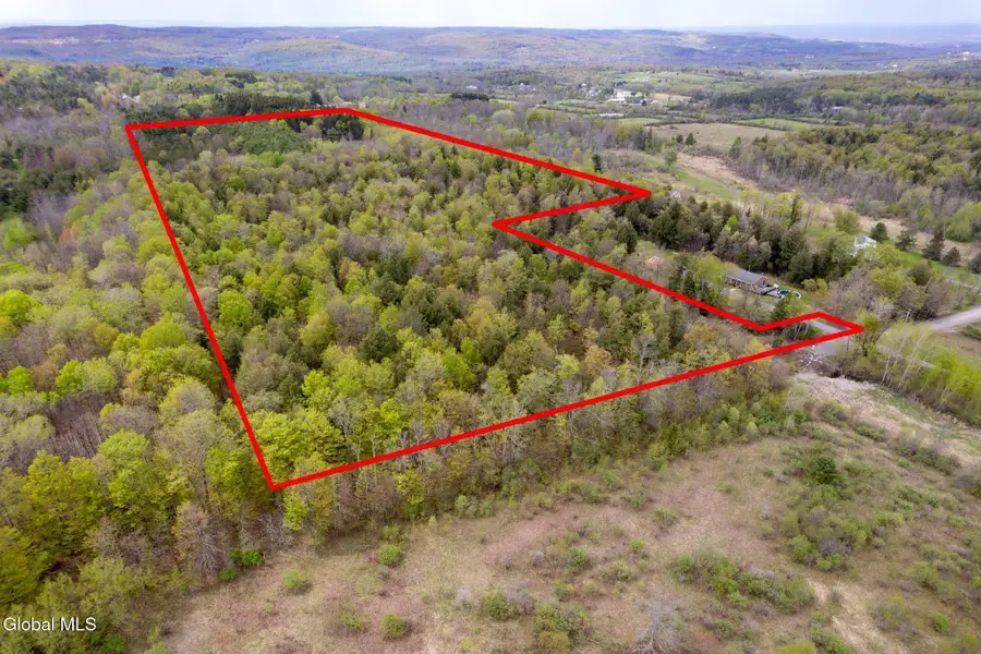 578 N Hillman Road, Delanson, NY 12053 - #2
