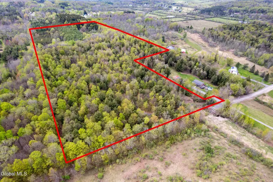 578 N Hillman Road, Delanson, NY 12053 - #3