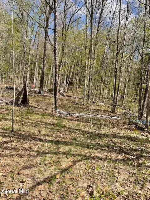 860 Nys Route 30, Hope, NY 12134 - #1