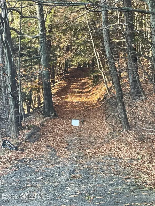 L26 & L27 Ecker Hollow Road, Cobleskill, NY 12043