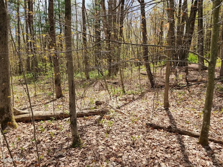 L 27 Ny 2, Grafton, NY 12082 - #2