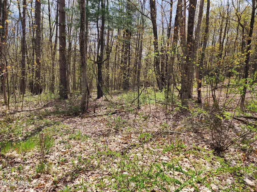 L 27 Ny 2, Grafton, NY 12082 - #3