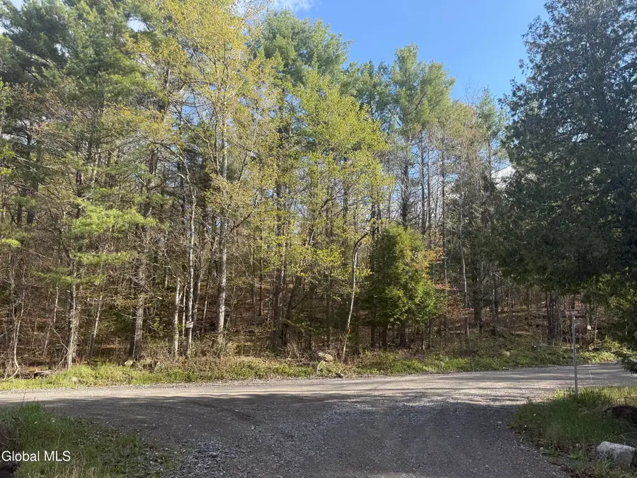 Lot 3,5.1, Stoney Lonesome Road, Crown Point, NY 12928 - #2