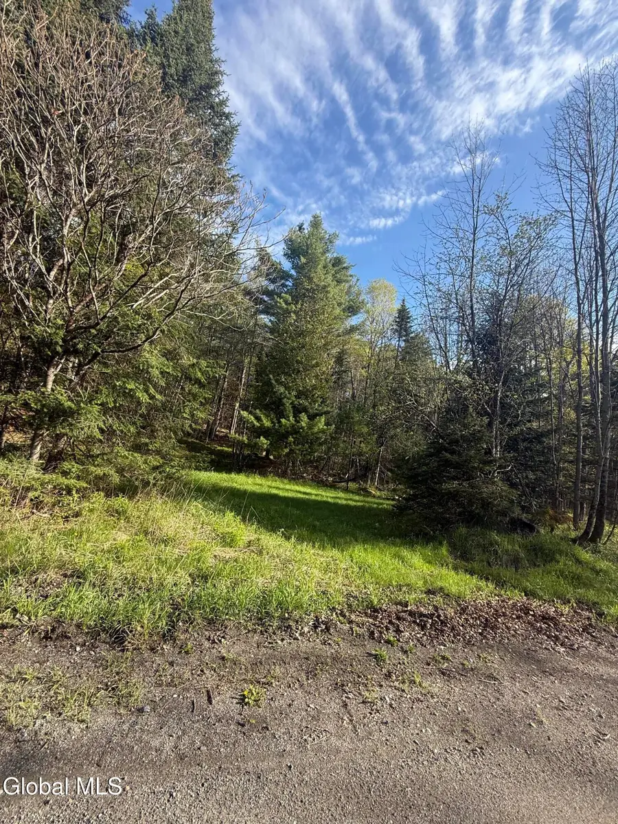 Lot 3,5.1, Stoney Lonesome Road, Crown Point, NY 12928 - #3