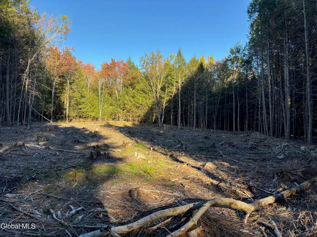 L1.112 Kipple Road, Sand Lake, NY 12153 - #1