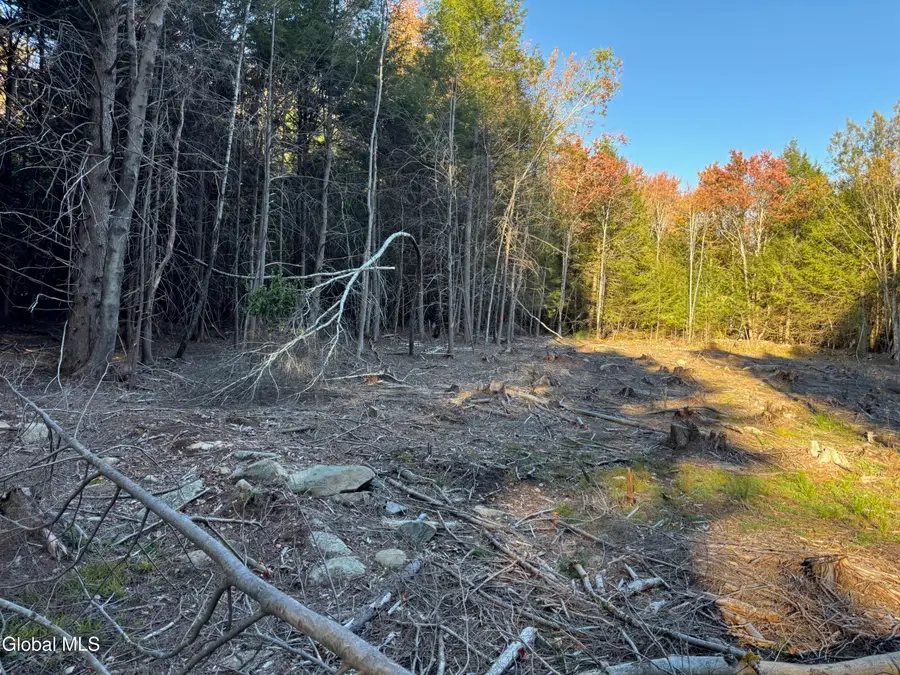 L1.112 Kipple Road, Sand Lake, NY 12153 - #2