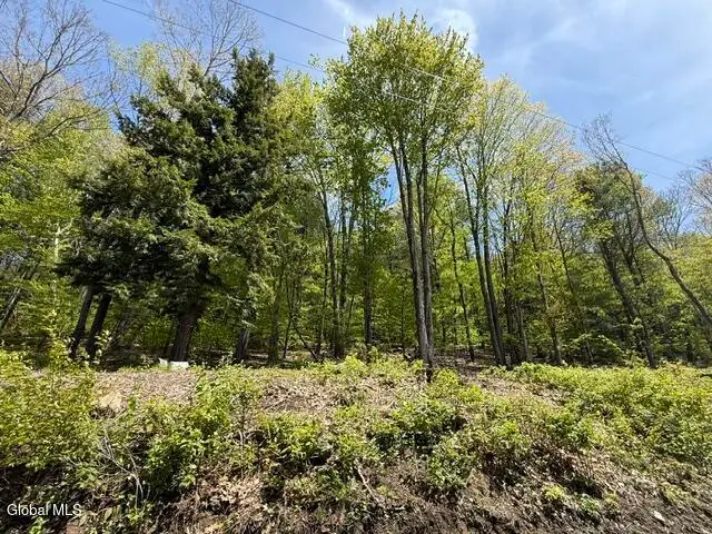 190 Stewart Road, Petersburgh, NY 12138 - #2
