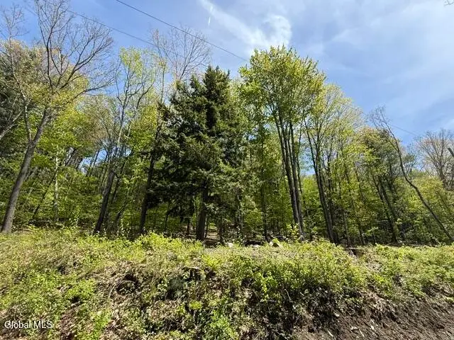 190 Stewart Road, Petersburgh, NY 12138 - #3