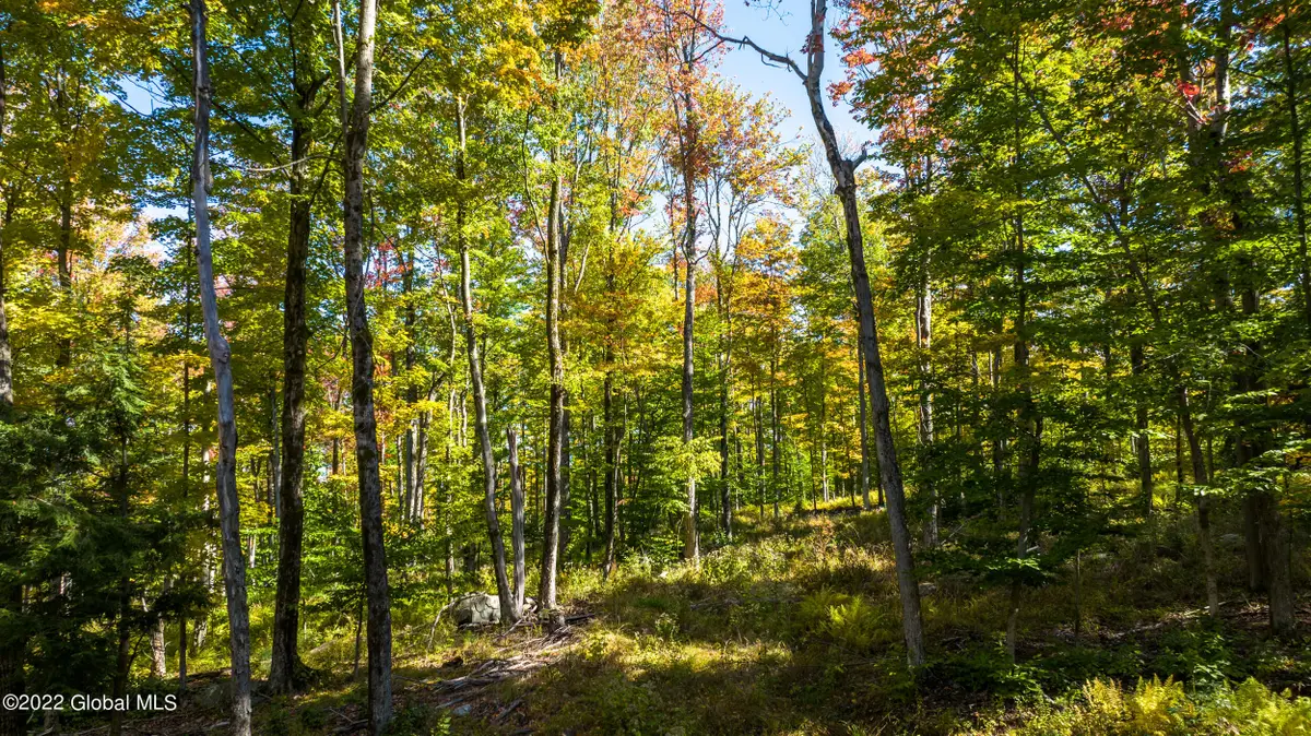 L30 Blue Factory Hill Road, Cropseyville, NY 12052 - #1
