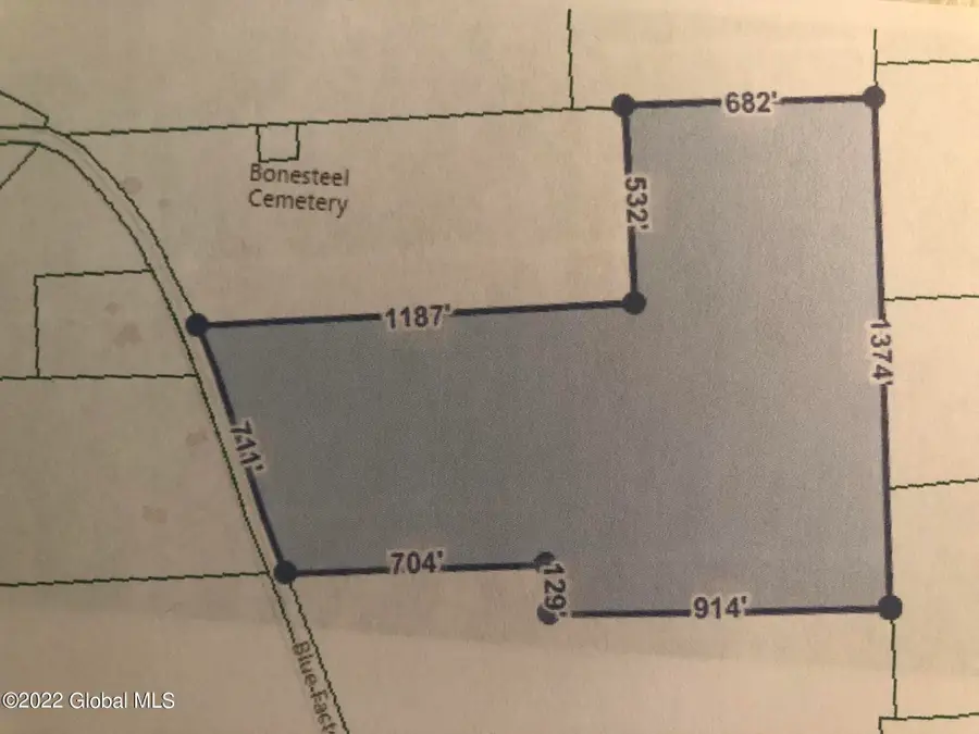 L30 Blue Factory Hill Road, Cropseyville, NY 12052 - #2