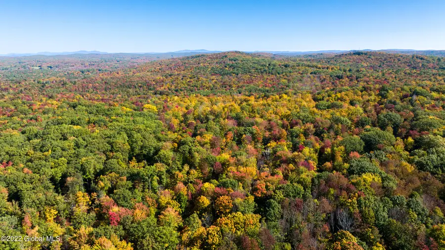 L30 Blue Factory Hill Road, Cropseyville, NY 12052 - #3