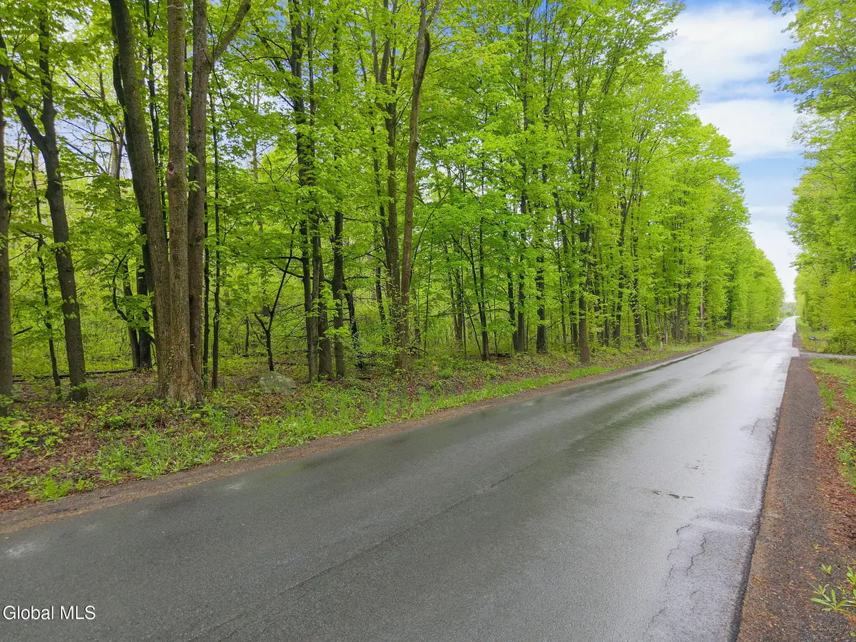 L4.112 Rocky Ridge Road, Charlton, NY 12010 - #1