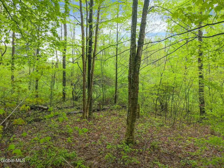 L4.112 Rocky Ridge Road, Charlton, NY 12010 - #2
