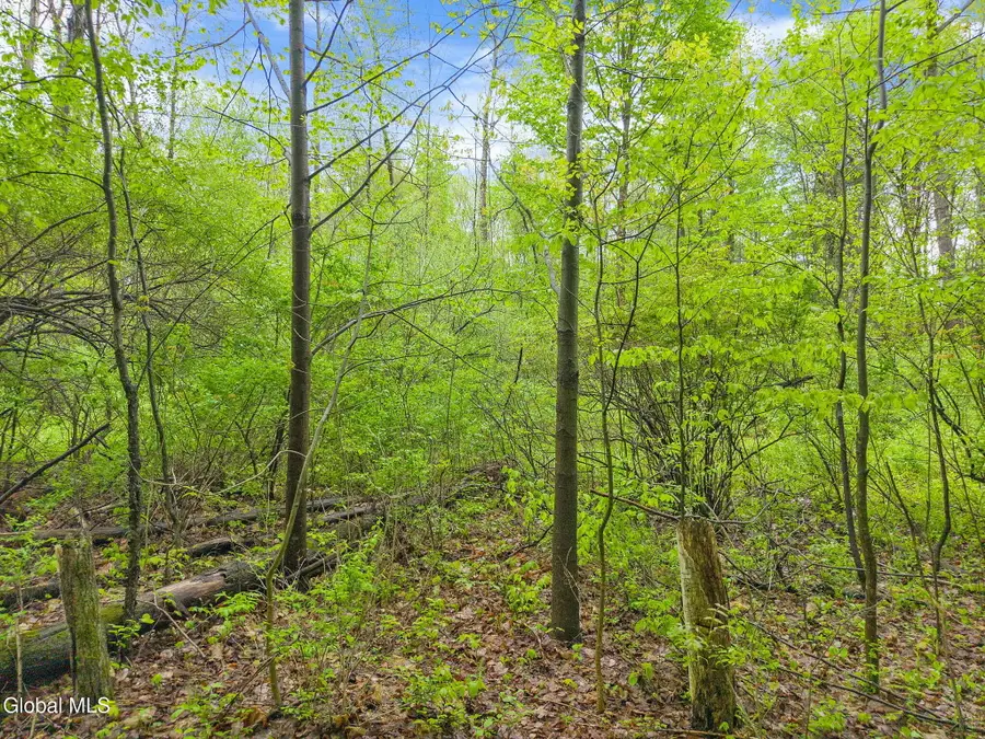 L4.112 Rocky Ridge Road, Charlton, NY 12010 - #3