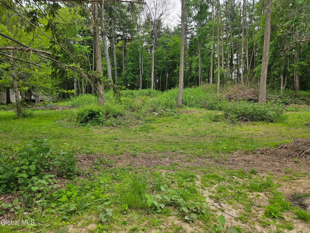 85 Willow Street, Guilderland, NY 12084 - #1
