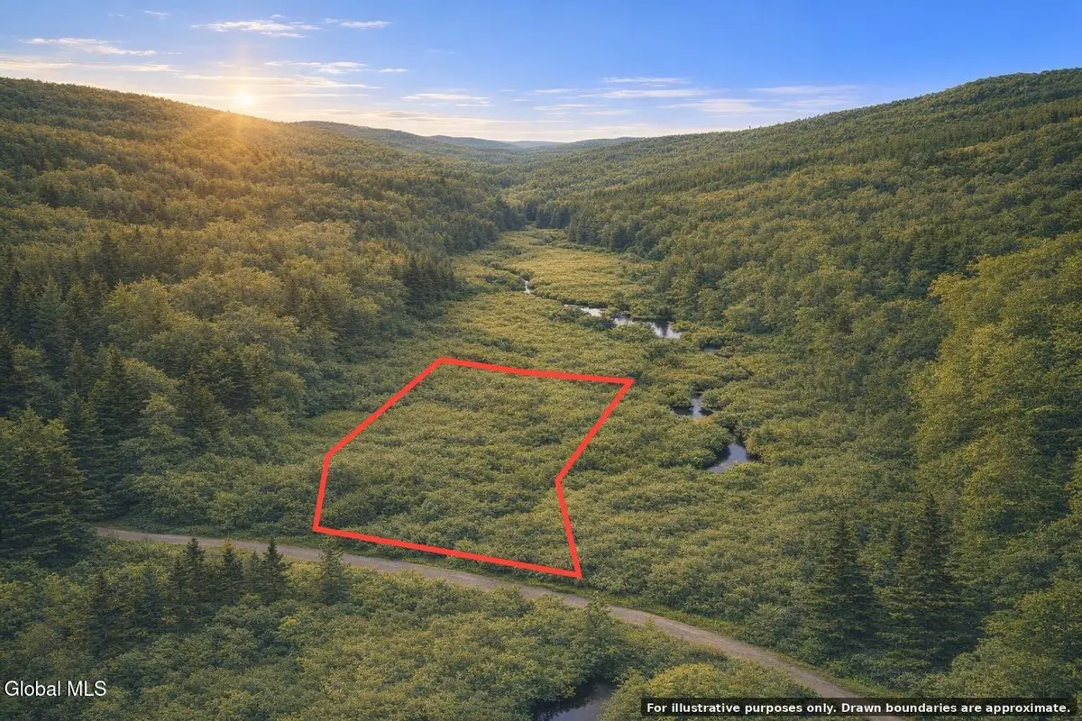 L46 Alder Brook Road, Horicon, NY 12815 - #1