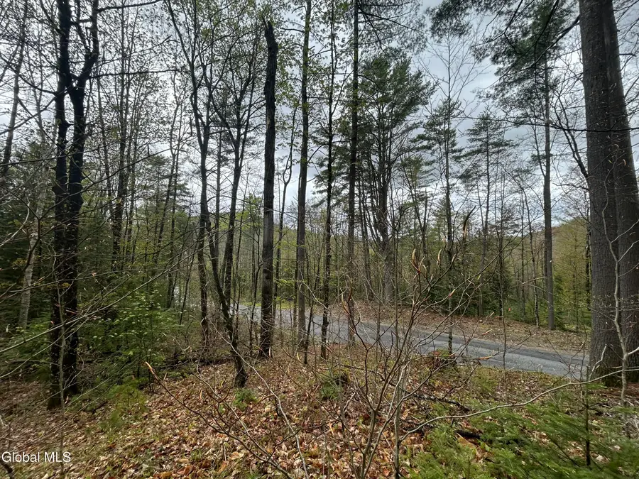L46 Alder Brook Road, Horicon, NY 12815 - #2