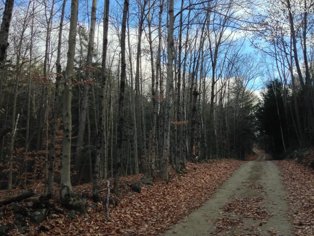 20 Hall Mountain Road, Warrensburg, NY 12885 - #1