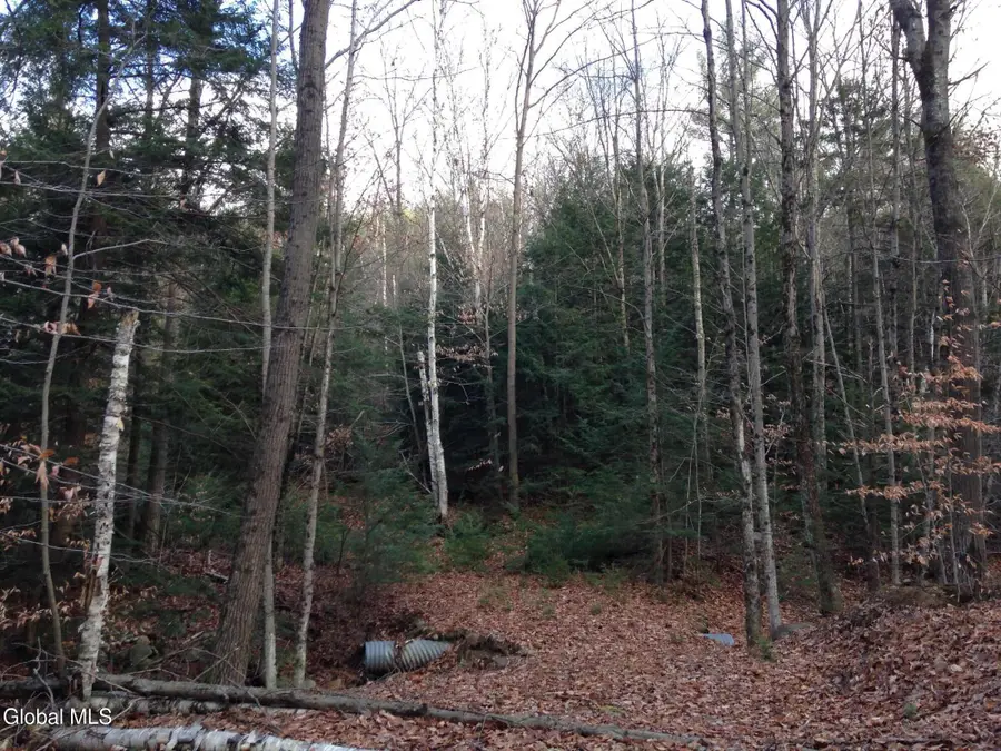 20 Hall Mountain Road, Warrensburg, NY 12885 - #2
