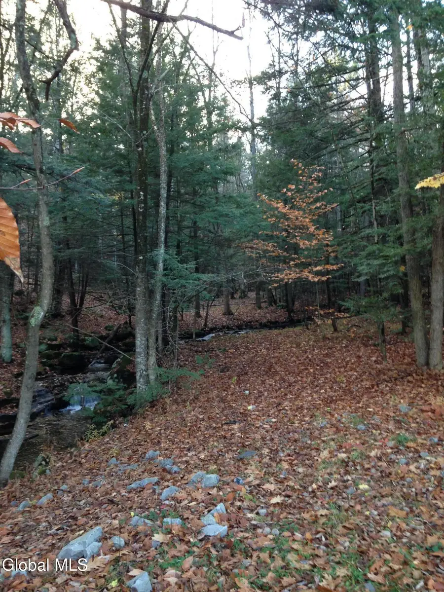 20 Hall Mountain Road, Warrensburg, NY 12885 - #3