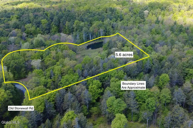 80 Old Stonewall Road, Hannacroix, NY 12087 - #3