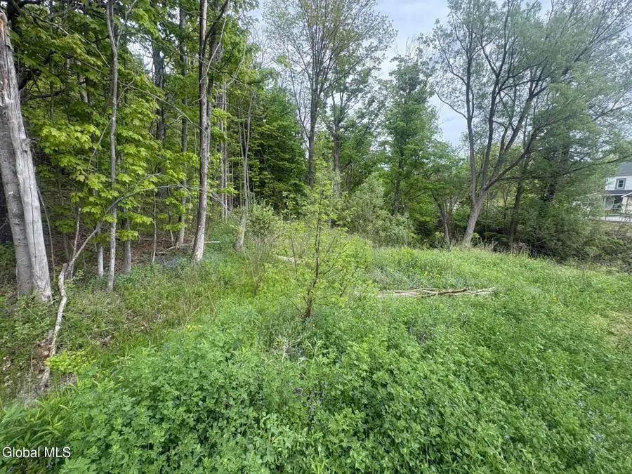 0 Mariaville Road, Duanesburg, NY 12056 - #2